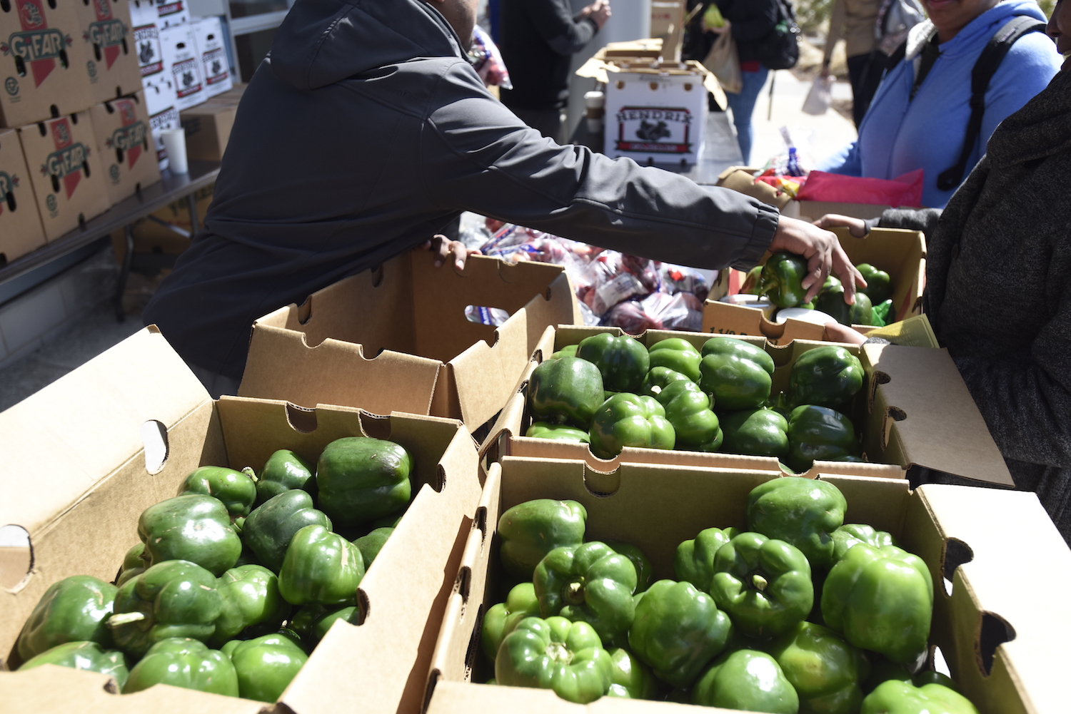 Food Is A Basic Need Dealing With Hunger On College Campuses