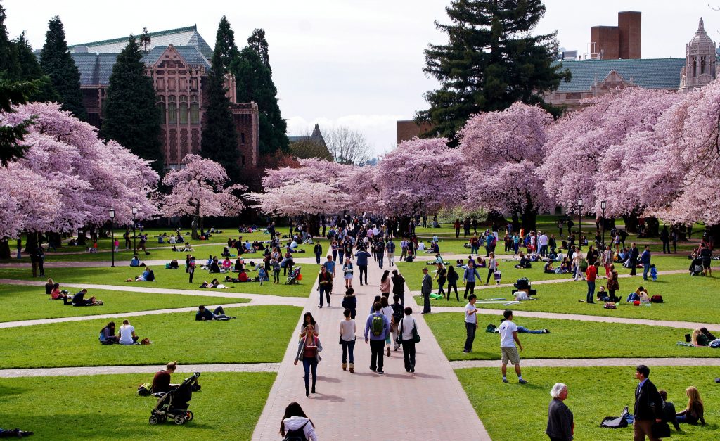 University washington campus Higher Education Today University washington campus Higher Education Today