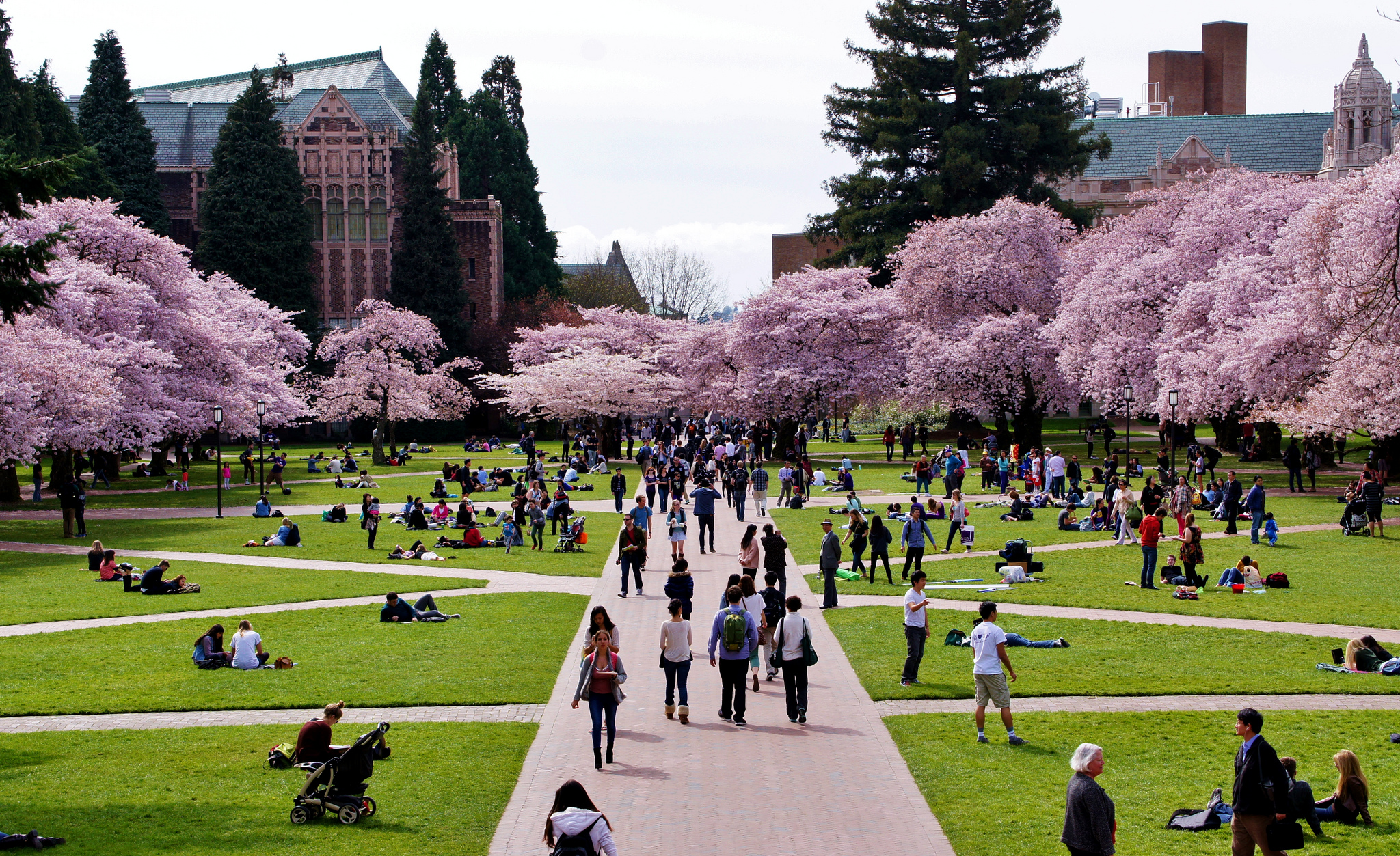 University washington campus Higher Education Today