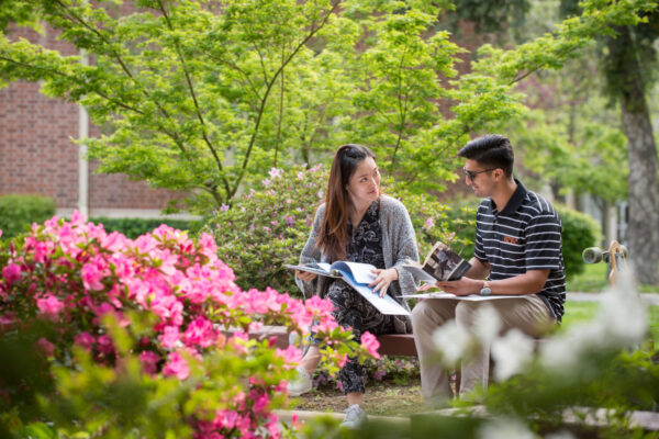 Students studying outside